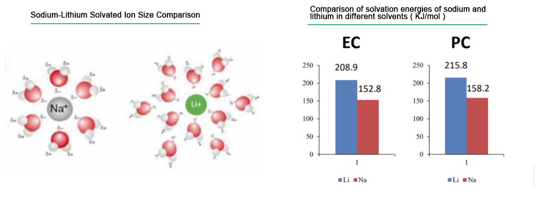 Comparison of Solvated Ion Sizes and Solvation Energies  of Sodium and Lithium in Different Solvents